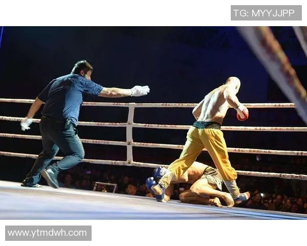 武林风一龙挑战韩国选手展现中国武术魅力与实力的巅峰对决