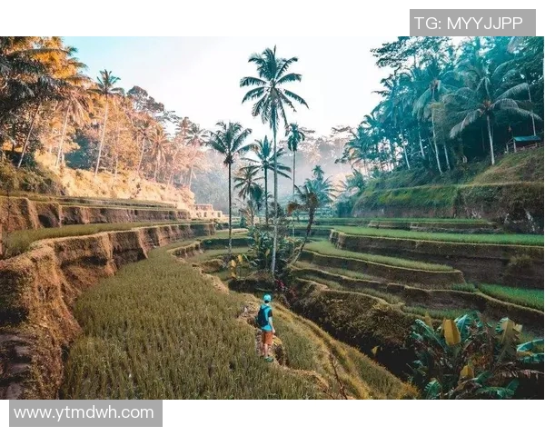 探索巴厘联的魅力与潜力让我们一起走进这个神秘的热带天堂 探索巴厘联的魅力与潜力让我们一起走进这个神秘的热带天堂