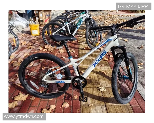 探索喜德盛官网的最新产品与服务，畅享骑行乐趣与健康生活